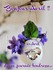 Blog du moment : Princesse de Coeur