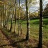 Chemin