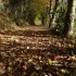 Chemin