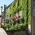 Un petit tour en Arbois .