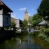 Un petit tour en Arbois  2