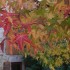 Couleurs