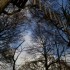 Accrobranches .