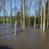 L'eau déborde dans les prés 