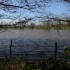 L'eau déborde dans les prés 