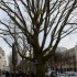 La balade Parisienne