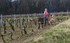 La taille de la vigne .