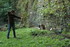 Quand le chat n'est pas là ..