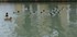 Le lac aux Canards