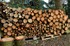 Il fait froid coupons du bois 