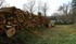 Il fait froid coupons du bois 