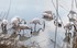 Un petit tour en Camargue :