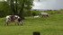 Balade autour de Maisoncelles 