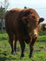 Balade autour de Maisoncelles 