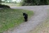 Les Chat- telains ..