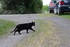 Les Chat- telains ..