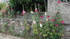 En passant dans le Morbihan