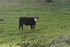 Balade par monts et par vaux