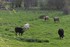 Balade par monts et par vaux
