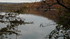 La pêche au bord du lac