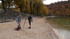 La pêche au bord du lac