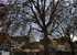 A travers  les branches