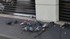 Balade dans Paris