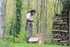 Les ABEILLES