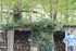 Les ABEILLES