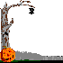 bientot halloween