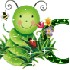 coucou