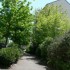 let the sunshine in