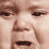 semaine 20