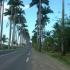 **GUADELOUPE..**