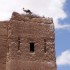 110610..ouarzazate vers Skoura, vallée d