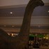 EXPO DINO 2